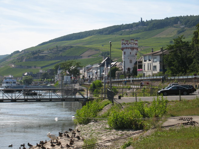 Rhein144.JPG