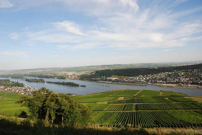 Rhein153.JPG