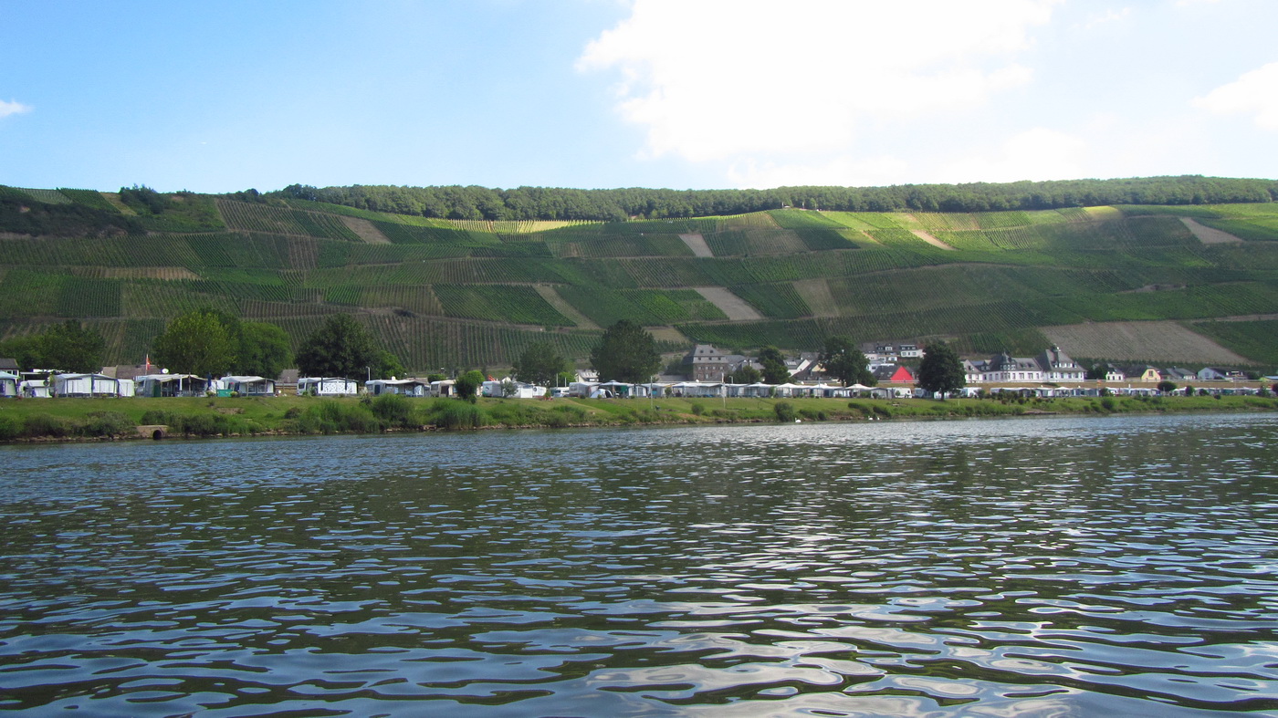 Mosel0091.JPG