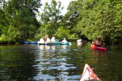 2015Alster_093.JPG